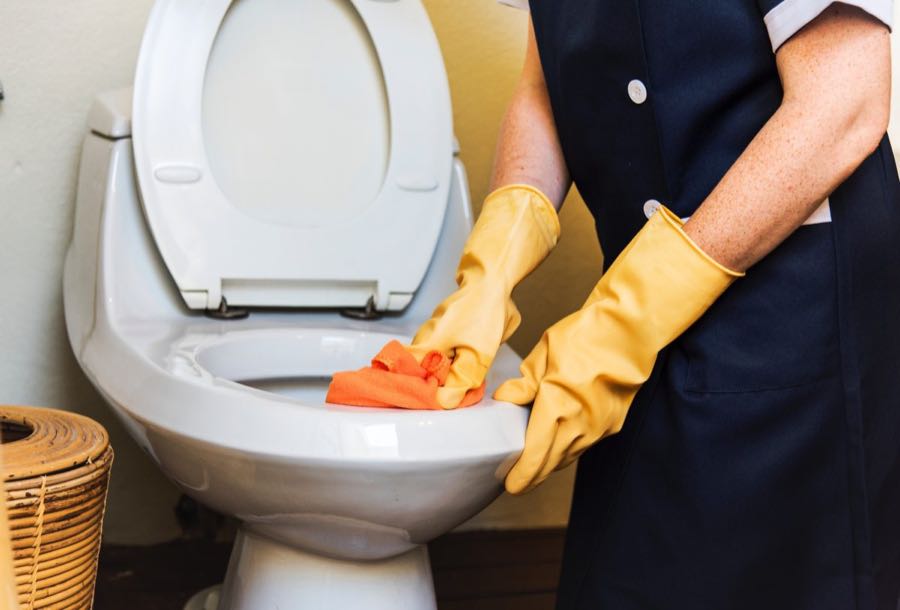 Person cleans a toilet