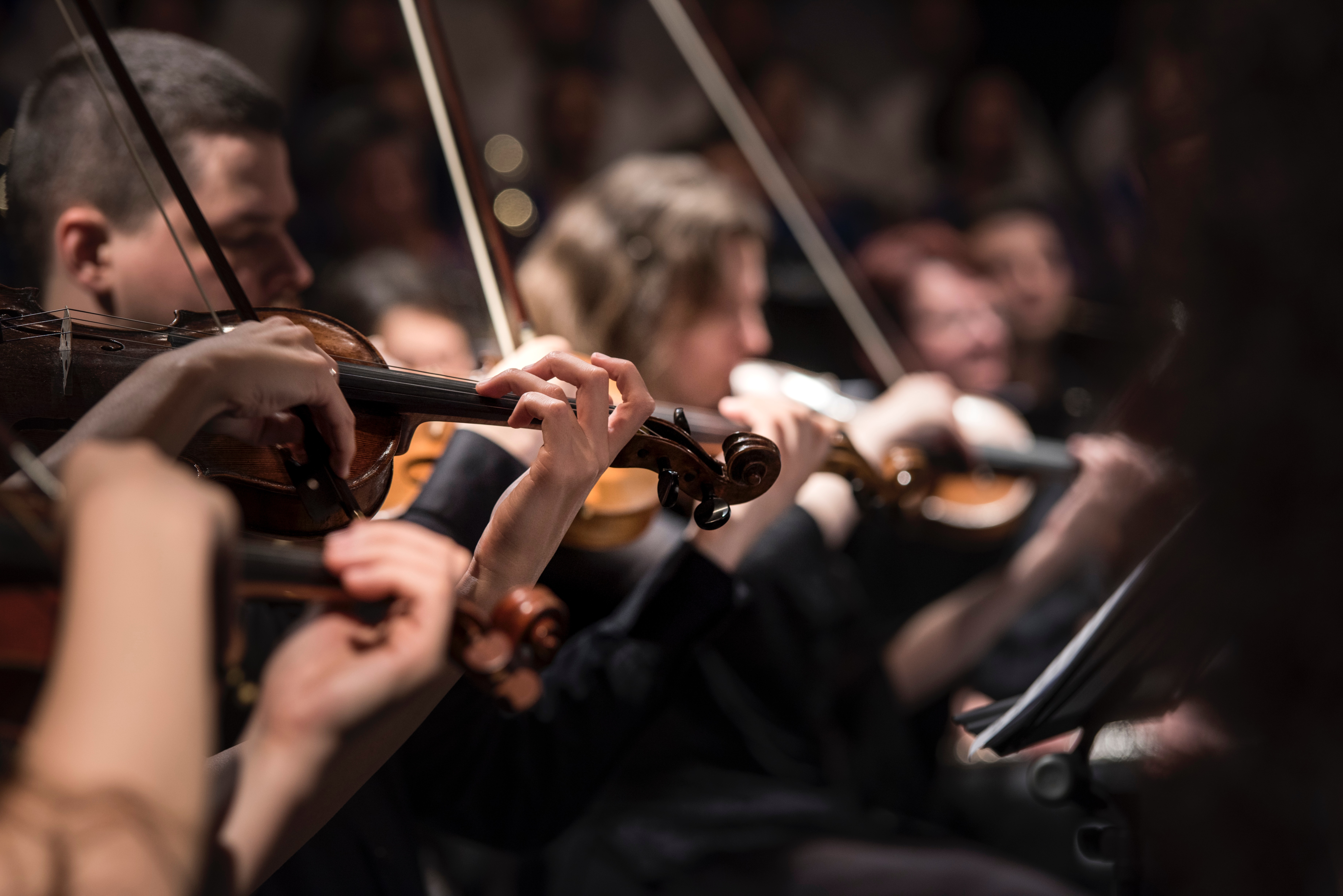 orchestra playing violin